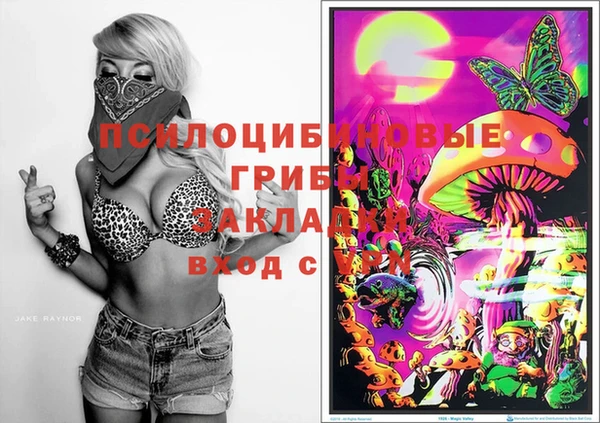 ешки Балахна