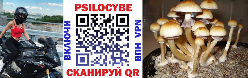 купить наркотик Белебей Галлюциногенные грибы прущие грибы